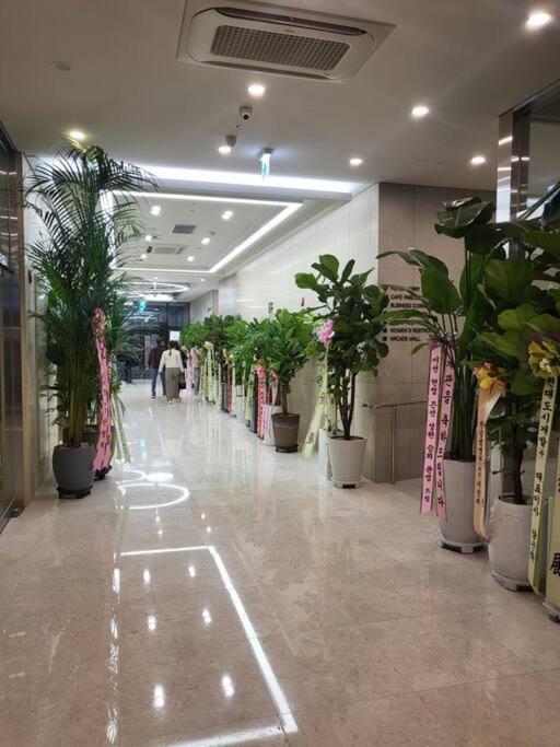 Stayc Hotel Myeongdong Seoul Exterior photo